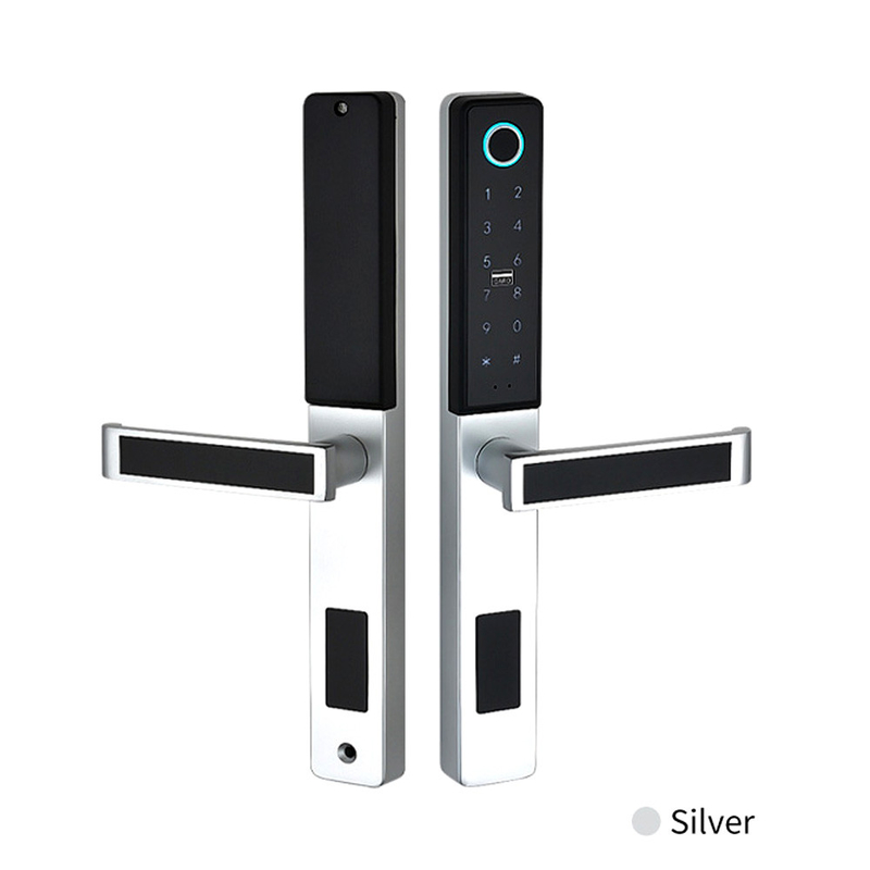 Porta di alta sicurezza Smart Lock Cancelletto Tuya App Camera per uso domestico Cancelletto elettronico colorato