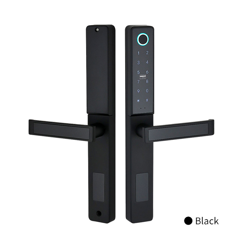 Porta di alta sicurezza Smart Lock Cancelletto Tuya App Camera per uso domestico Cancelletto elettronico colorato