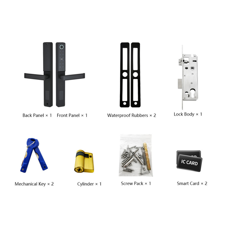 Porta di alta sicurezza Smart Lock Cancelletto Tuya App Camera per uso domestico Cancelletto elettronico colorato
