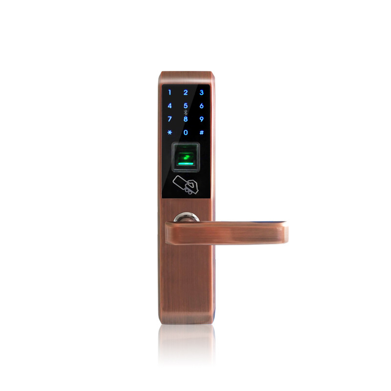WiFi Zinc Alloy 5V Bluetooth Door Lock With Selectable Handle